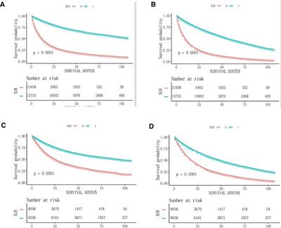 Construction of a mortality risk prediction model for elderly people at risk of lobectomy for NSCLC